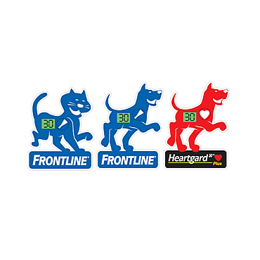 Animal Timer fridge magnet